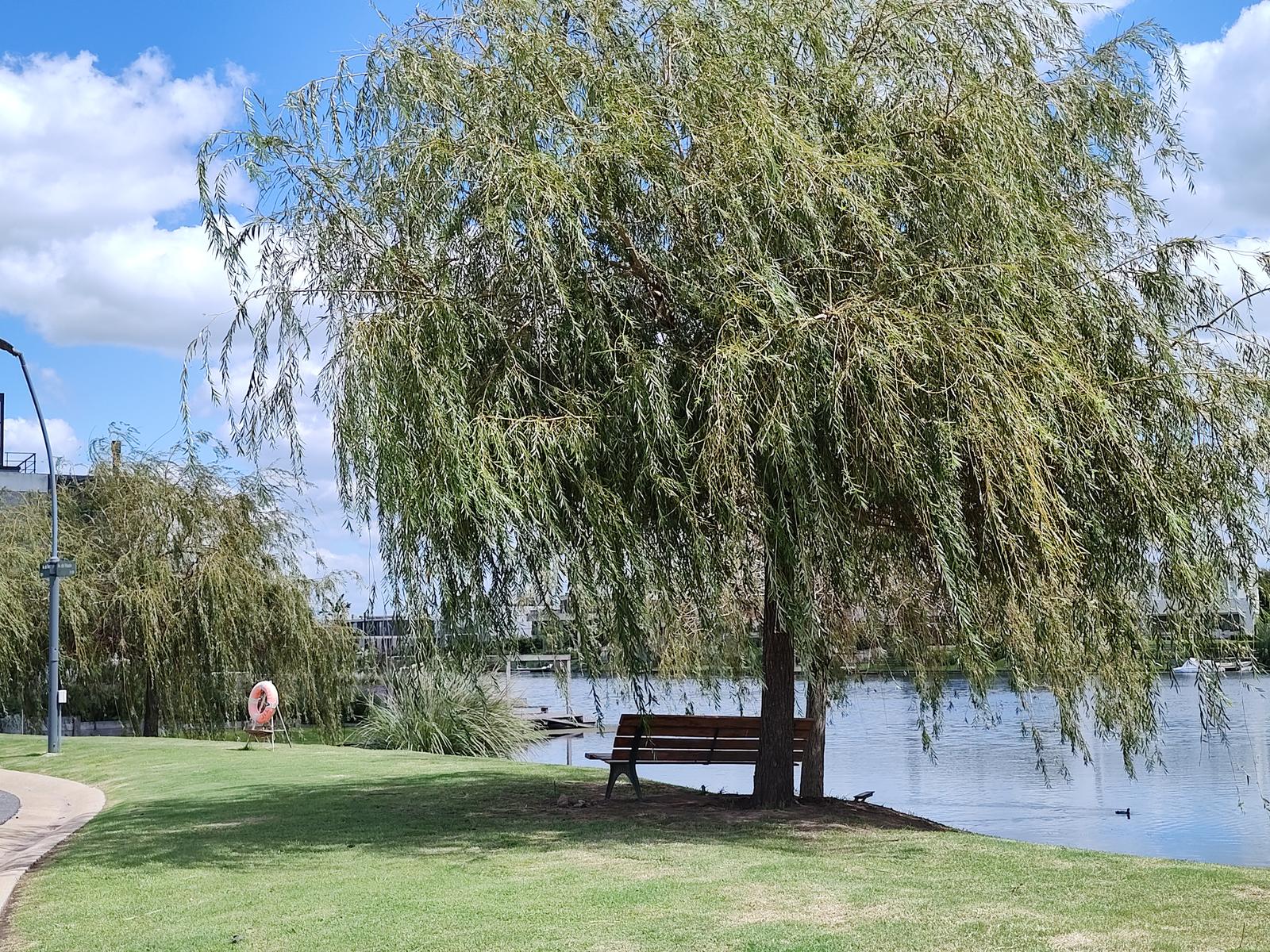 image 17