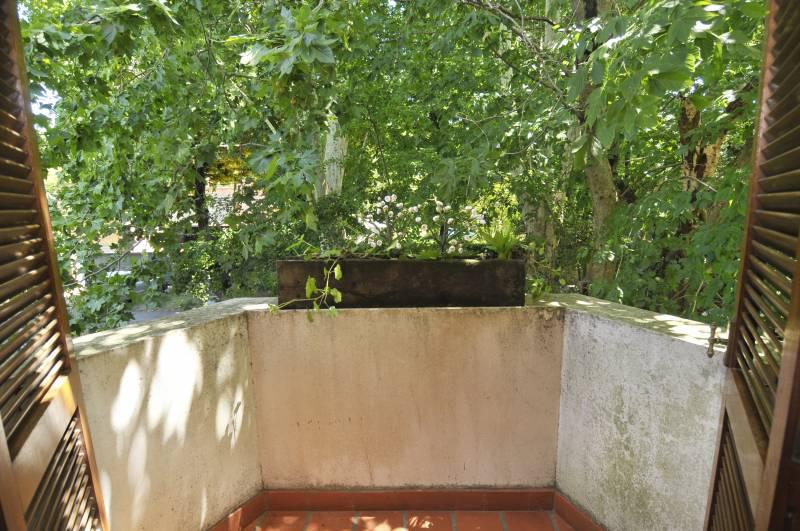 image 25