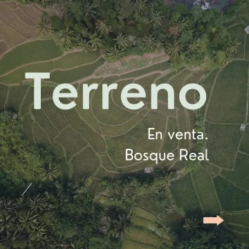 Venta terreno en bosque real