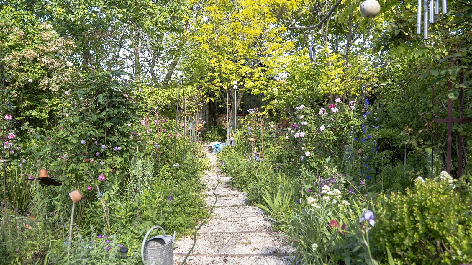 image 26