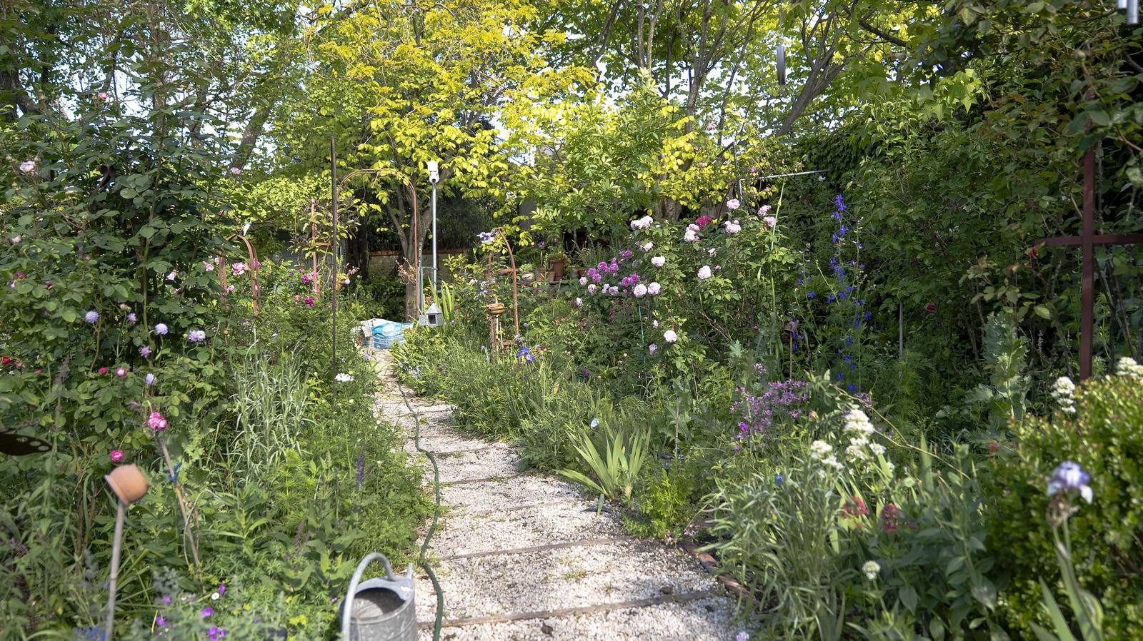 image 27