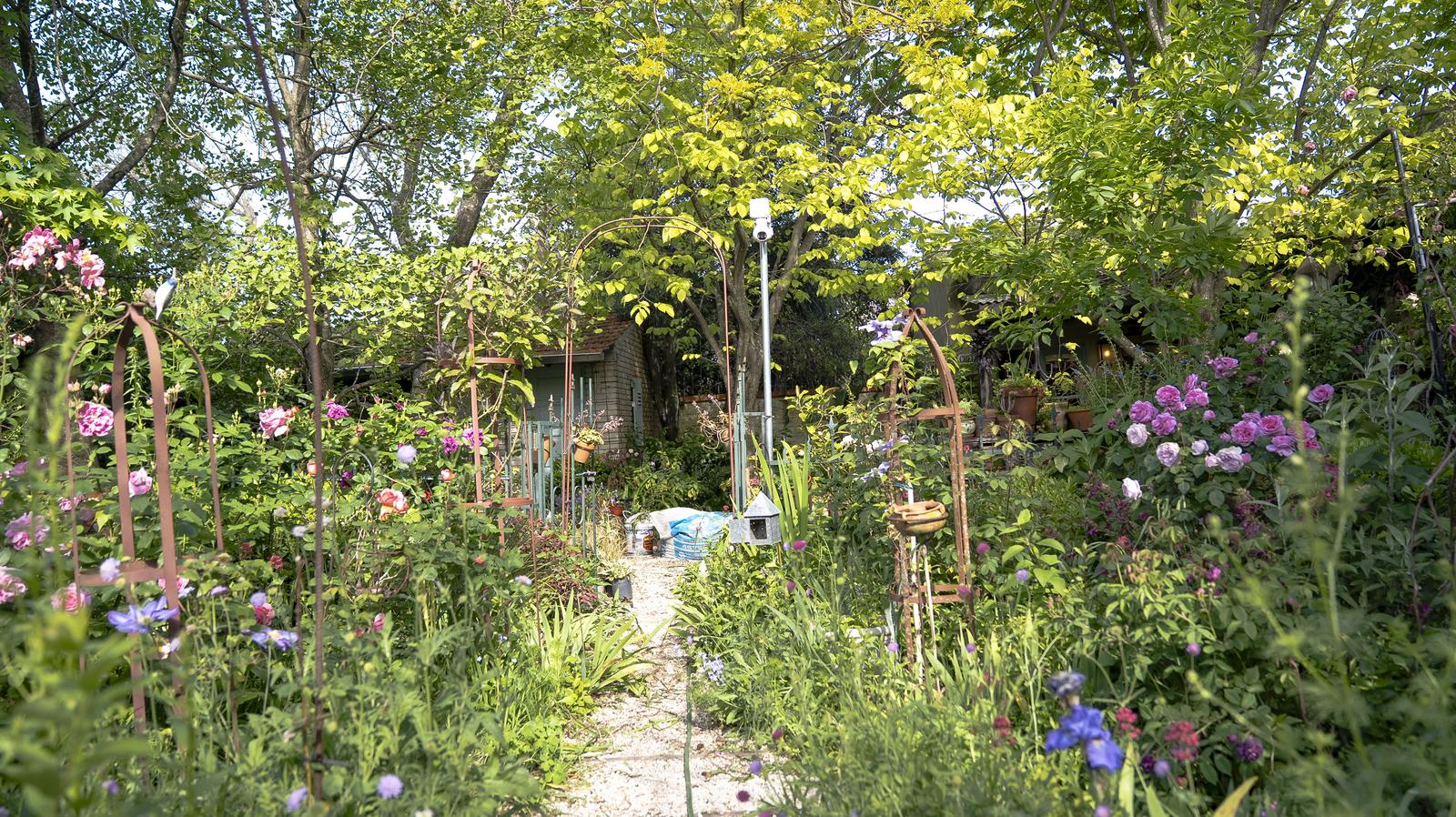 image 29