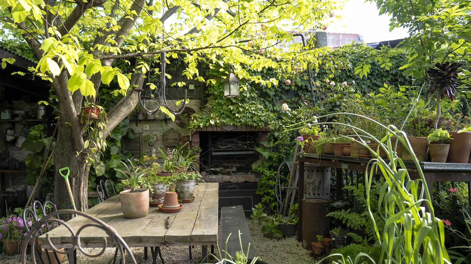 image 32