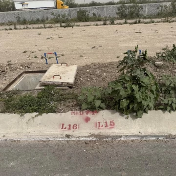 1762460239.jpg