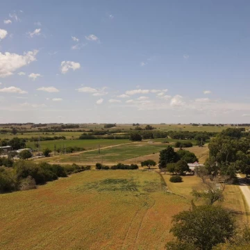 Terrenos en venta de 1 ha. Lote 8  Fraccionamiento Ruta 21 , Colonia