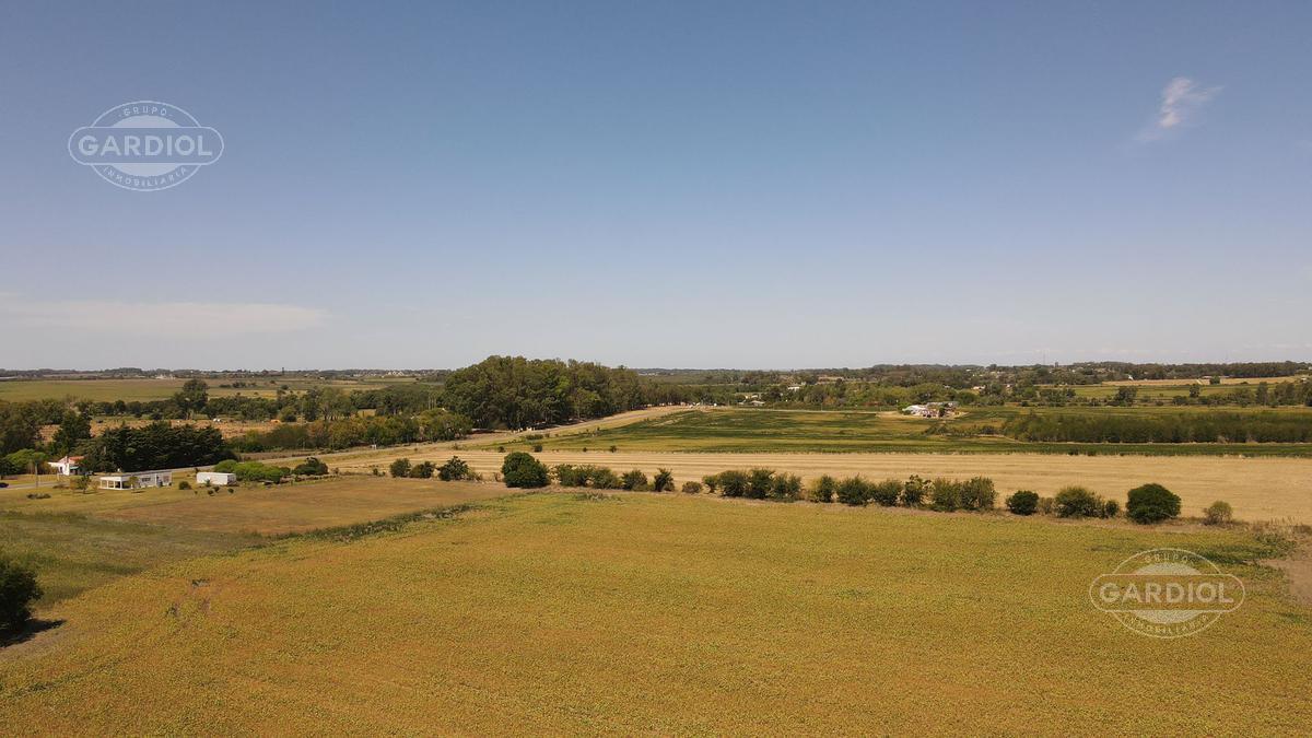 image 17