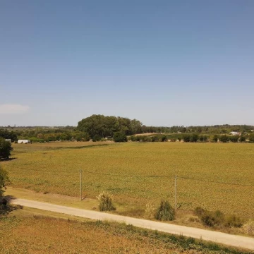 Terreno en venta de 16.851 m2. Colonia del Sacramento.
