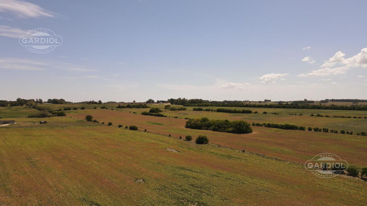 image 13