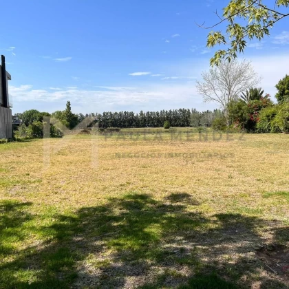 Terreno Lote  en Venta en Villanueva, Tigre, G.B.A. Zona Norte
