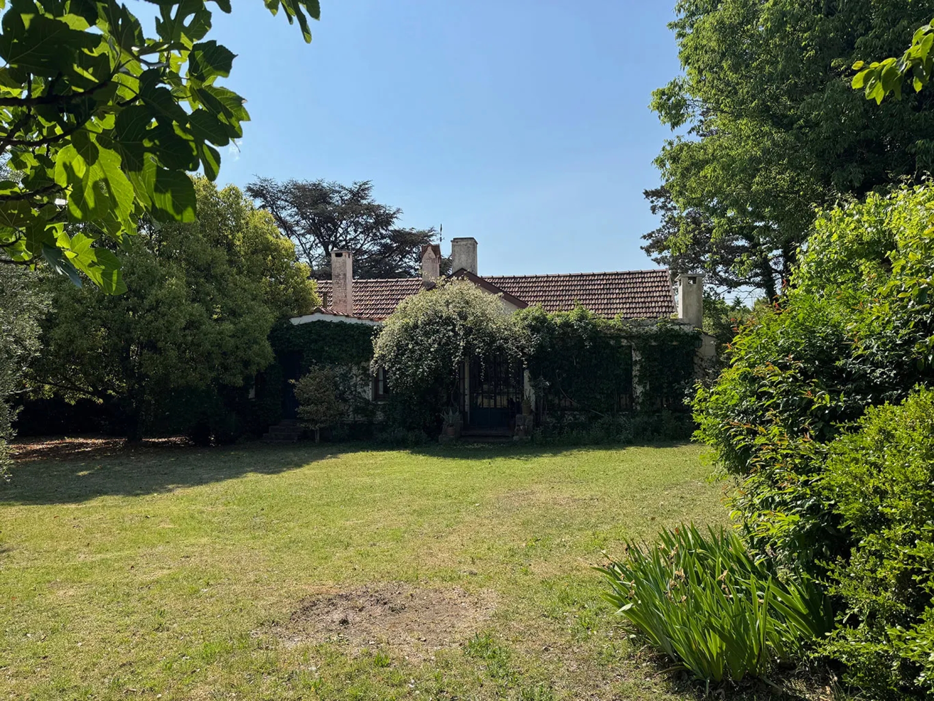 image 16