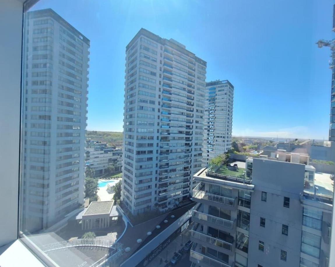 Vista