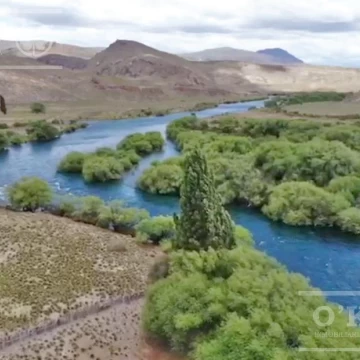 Bariloche  chacras Rio Limay 10 Has