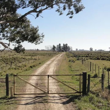 Campo Ganadero - 58 has Sobre Ruta N° 29
