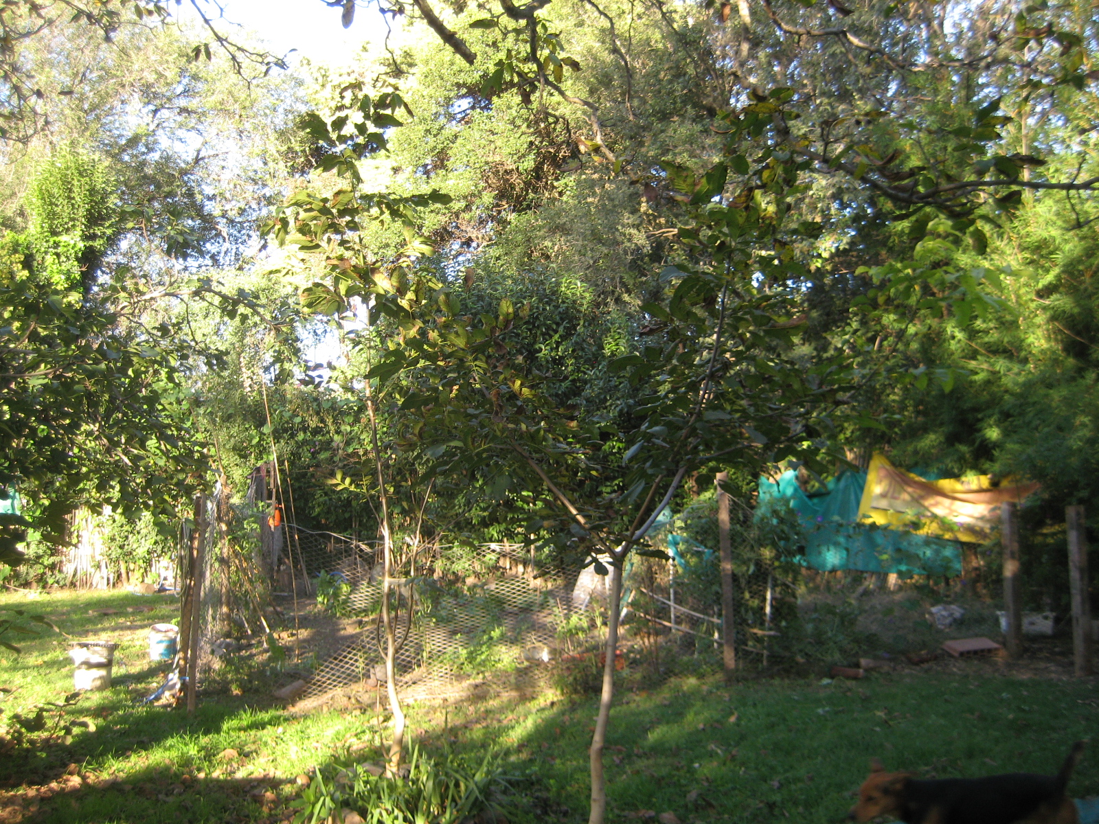 image 12