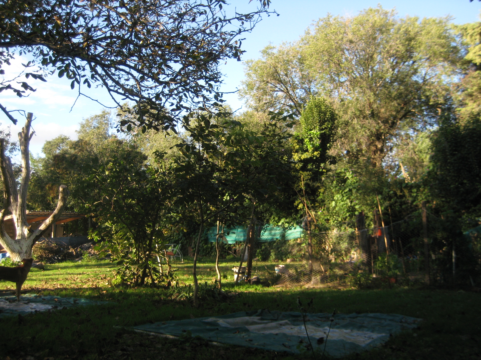 image 13