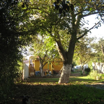 Casa William