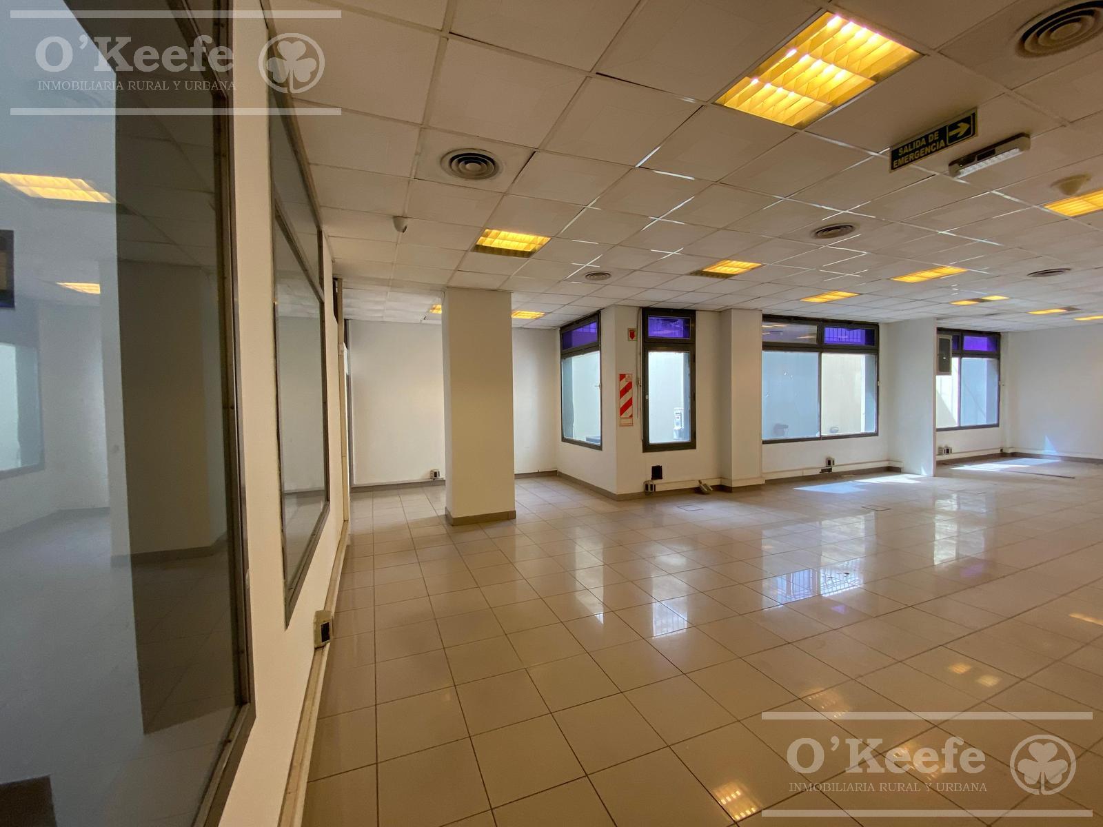 image 29