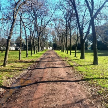 Venta Fraccion comercial/Desarrollo Pilar del Este