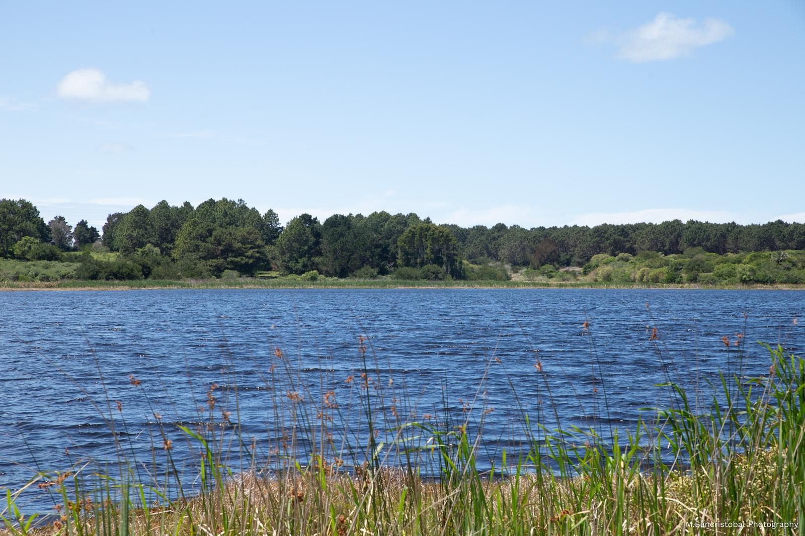 image 46