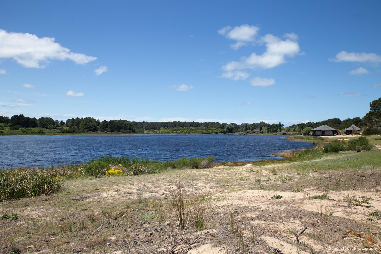 image 45