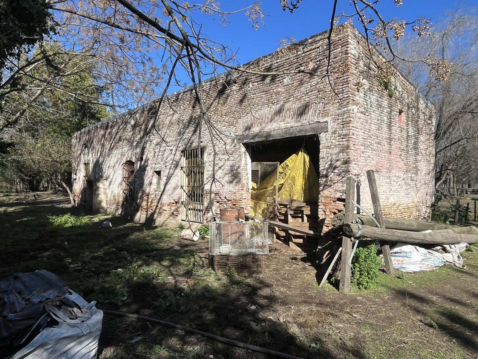 image 21