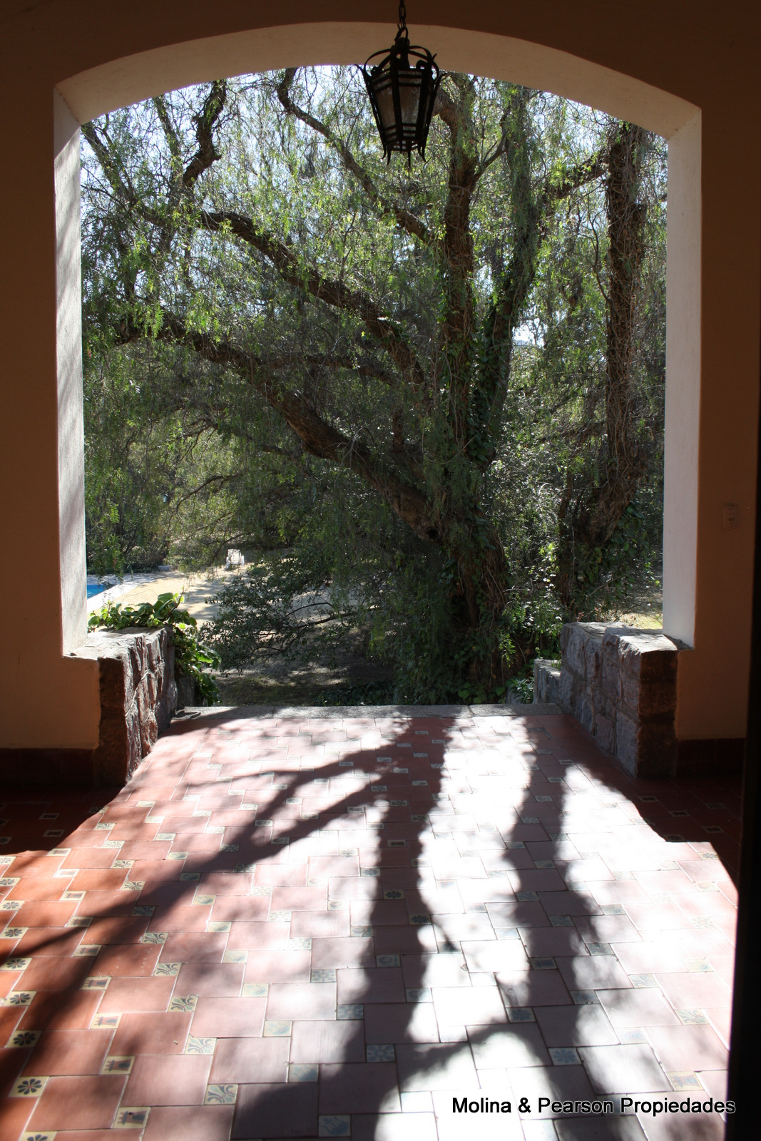image 28