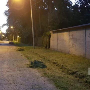 Terreno en Manuel Alberti