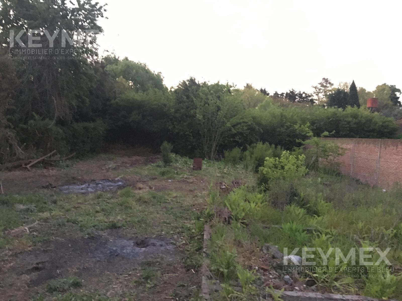 image 14