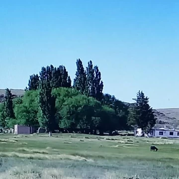 EXCELENTE ESTANCIA DE 13.736 Ha, A 50 KM DE RAMOS MEXIA, RIO NEGRO