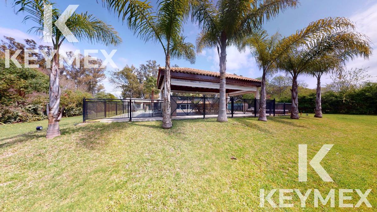 image 46