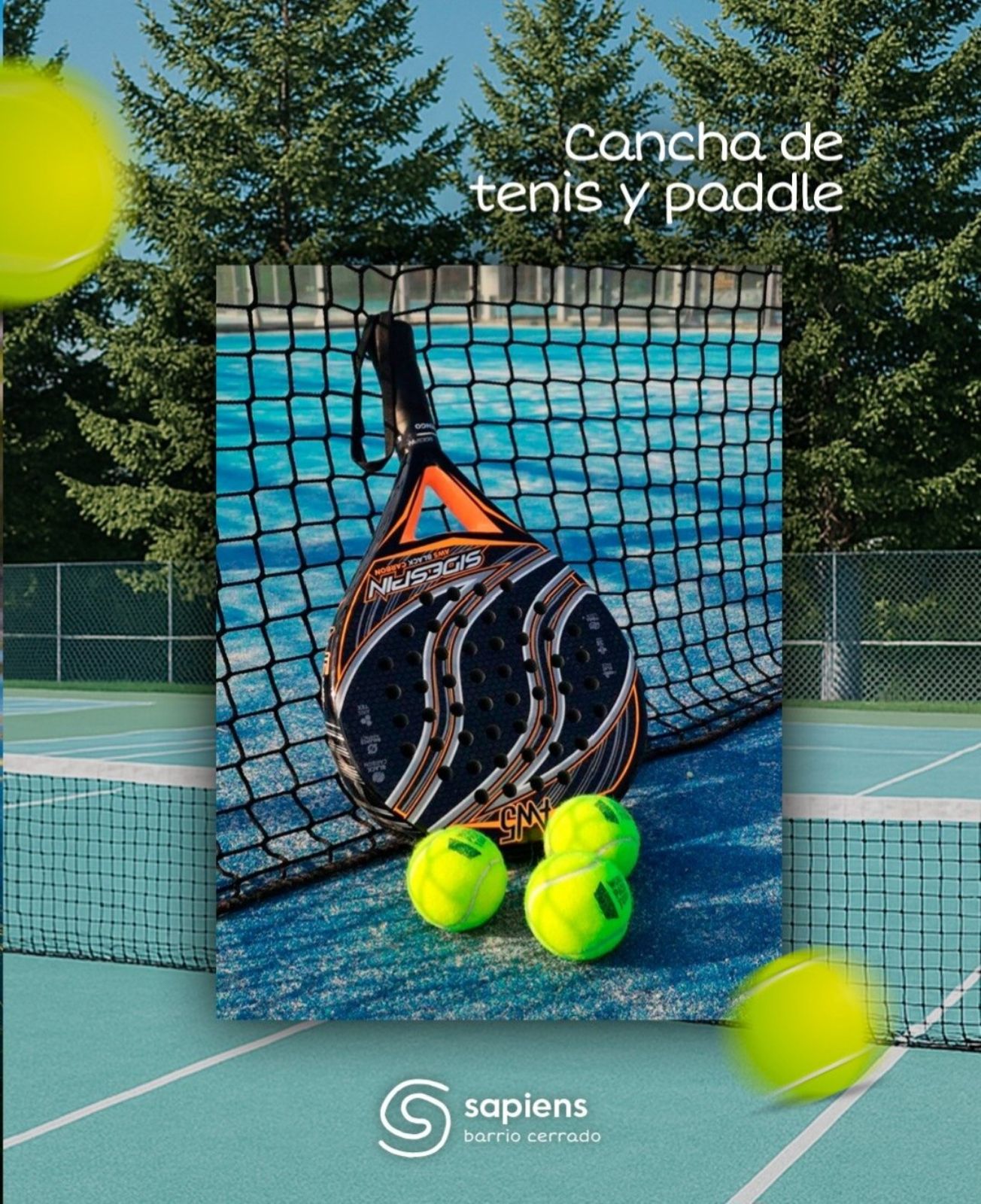 image 16