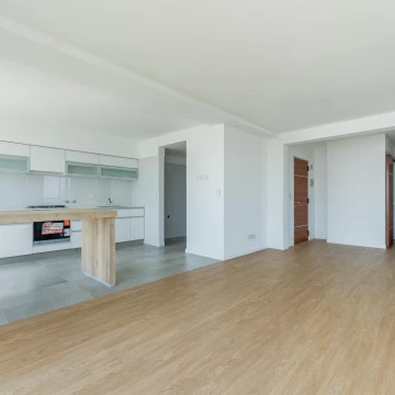 1763557947.jpg