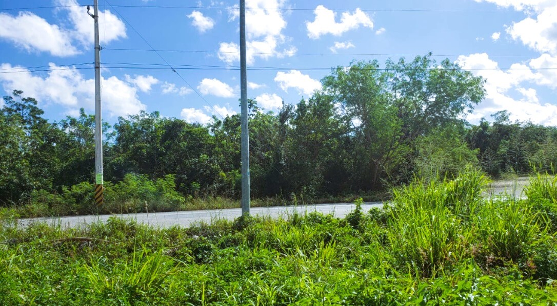 LOTE COMERCIAL AV HUAYACAN EN VENTA