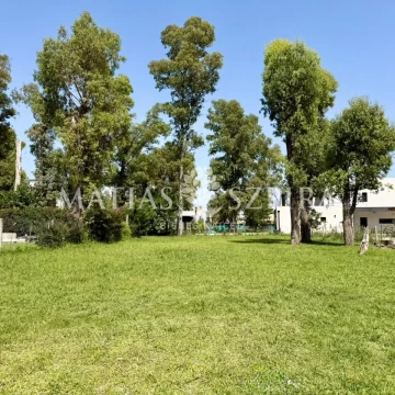 Lote en venta álvarez Del Bosque 