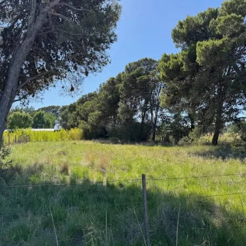 Lote 1300m2 en Los Nogales