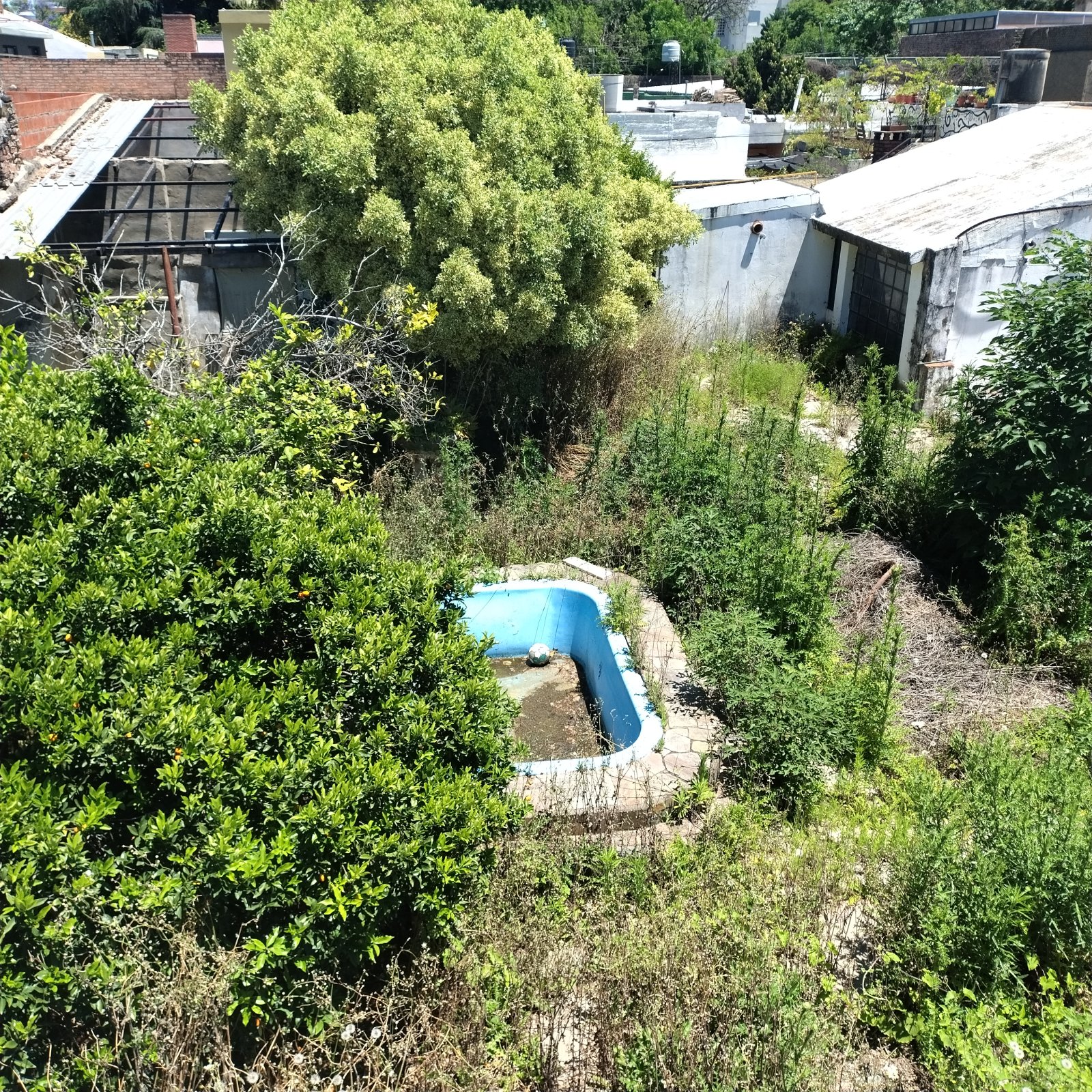 image 14