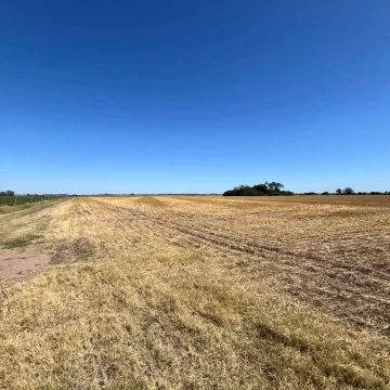 VENTA 76 HECTAREAS DE CAMPO CON UBICACION ESTRATEGICA