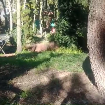 TERRENO A LA VENTA EN 34 ENTRE MIRAMAR Y NECOCHEA-MAR AZUL