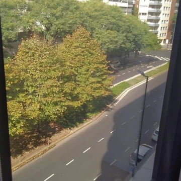 1763764124.jpg