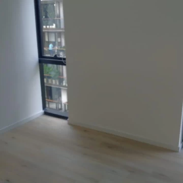 1763764162.jpg