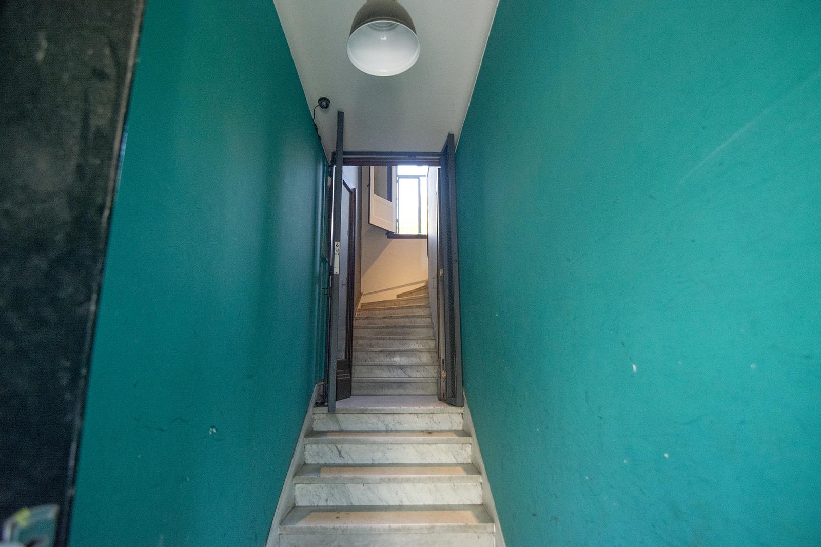 image 29