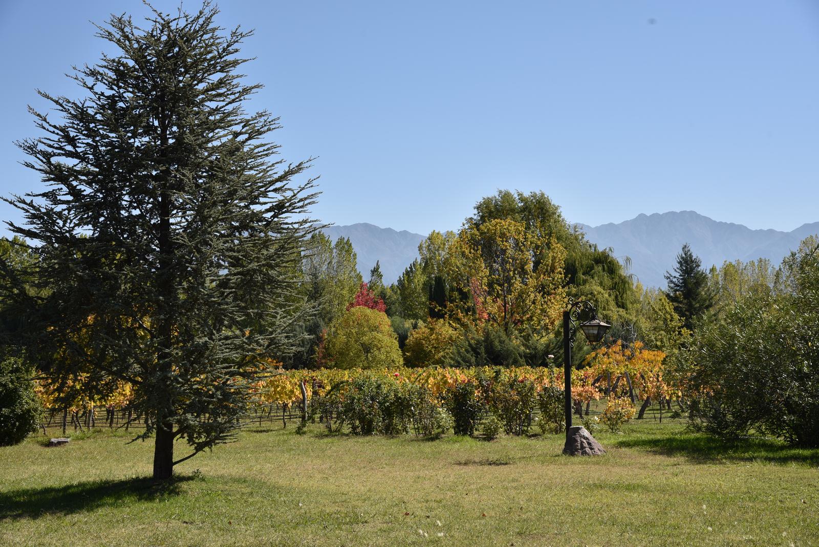 image 23