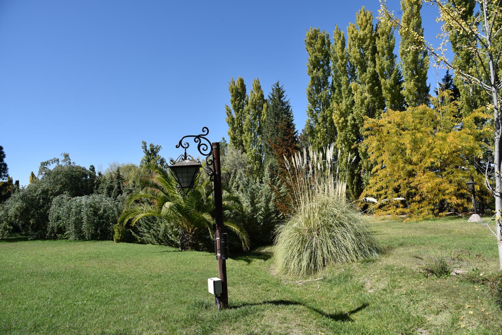 image 24