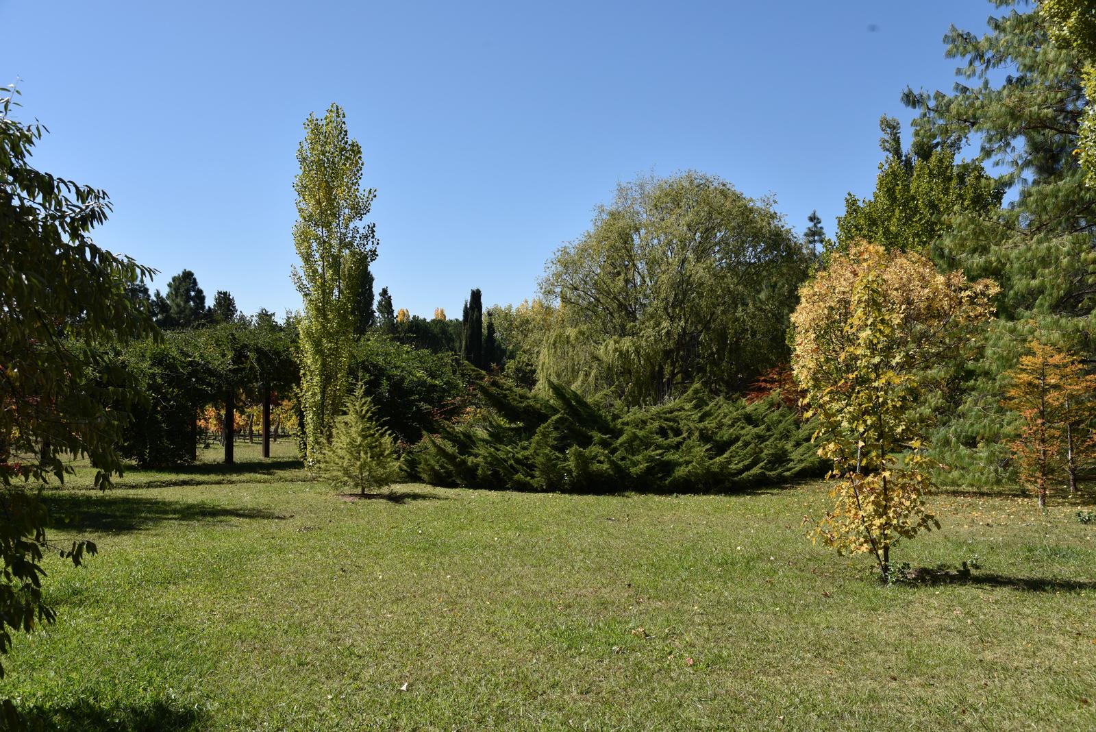 image 25