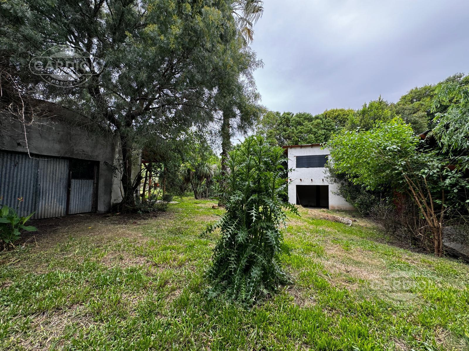 image 14