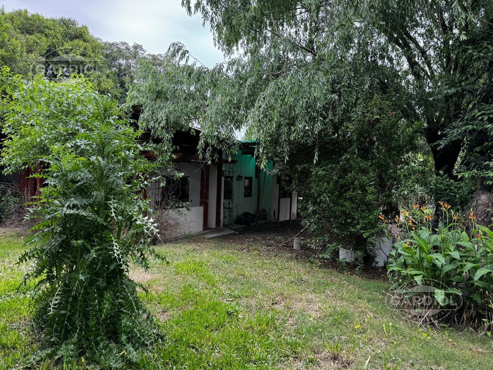 image 23