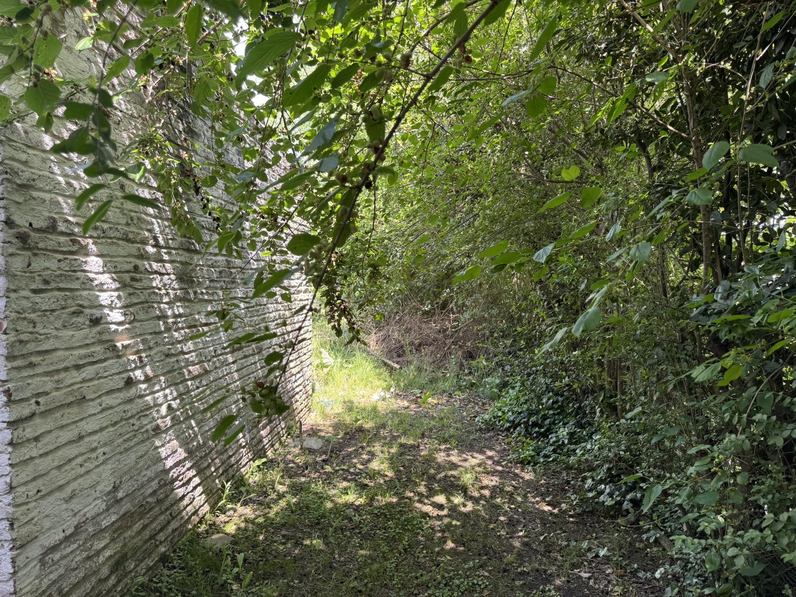 image 14