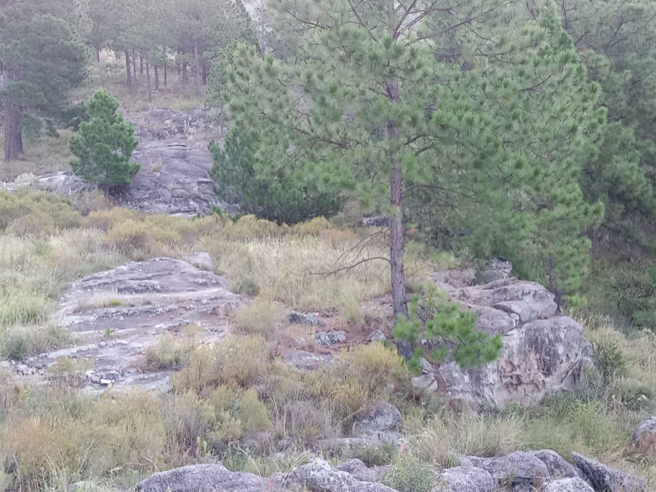 image 13
