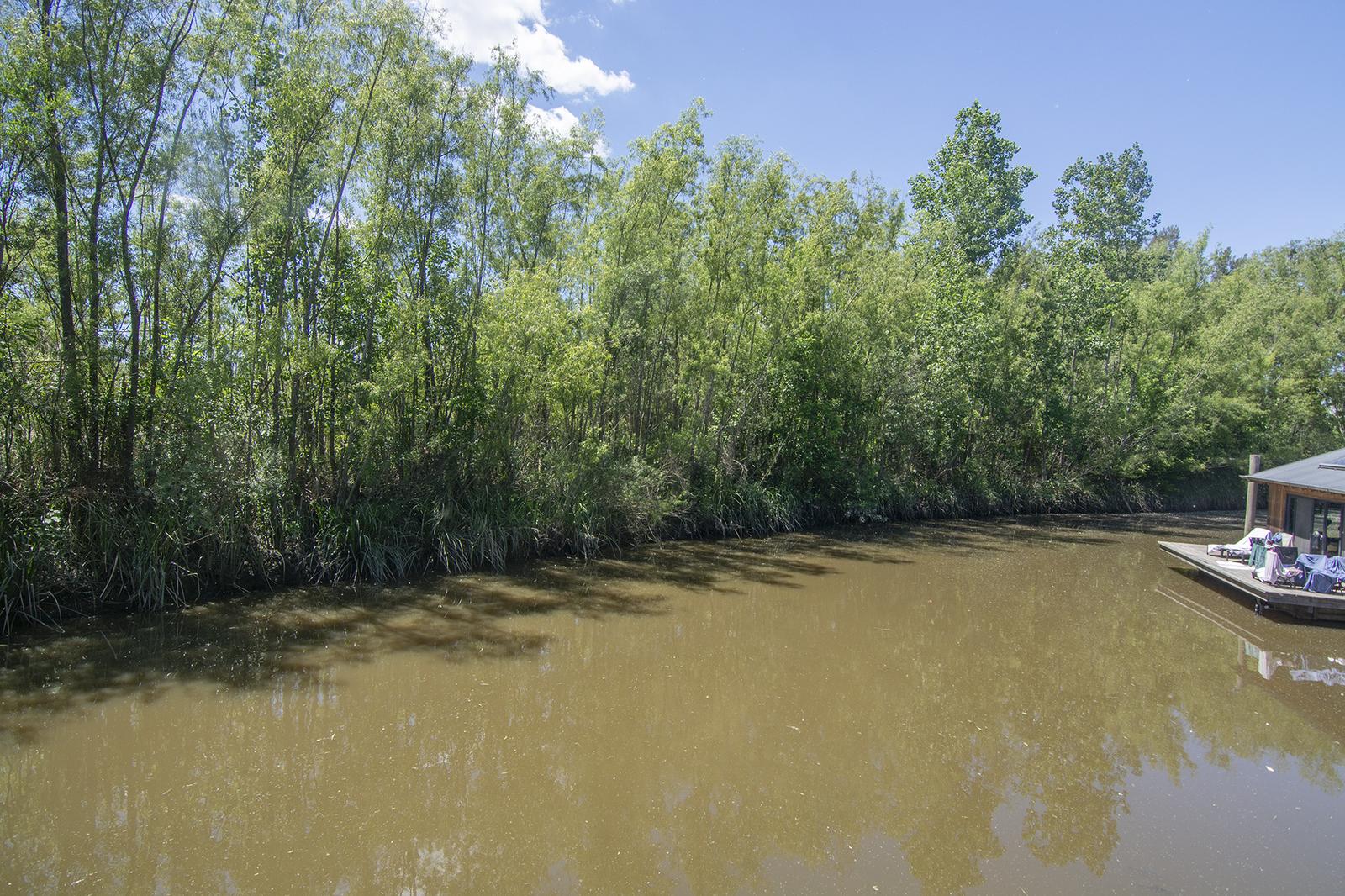 image 67