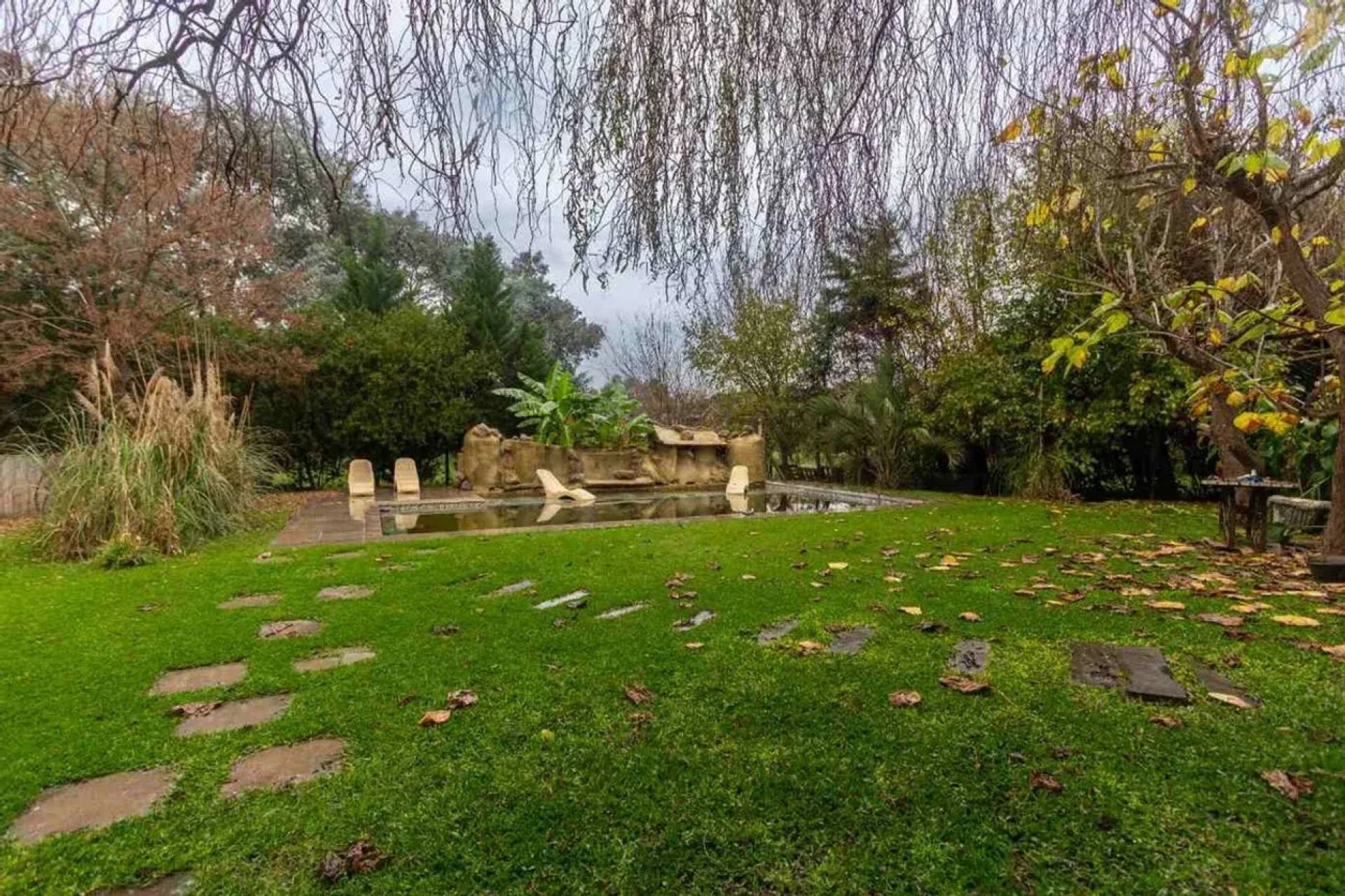 image 28